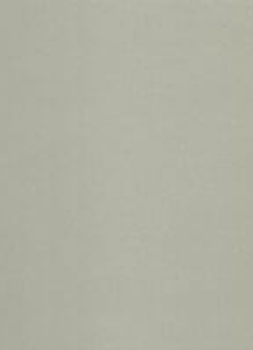 Untitled design (11)