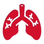 lungs (1)