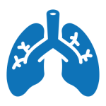 lungs