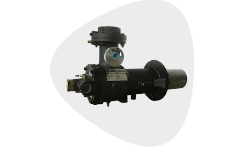 Untitled design (82)